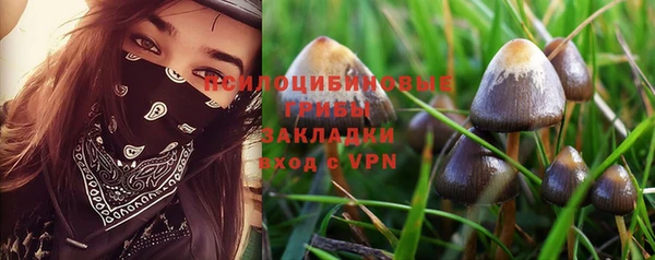 мяу мяу кристалл Александровское
