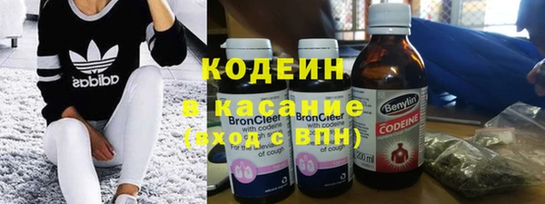 ПСИЛОЦИБИНОВЫЕ ГРИБЫ Туринск