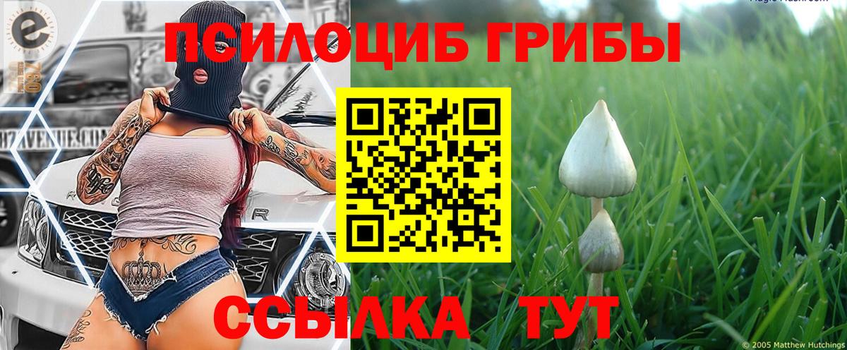 Псилоцибиновые грибы ЛСД  Вход с VPN  Северск 